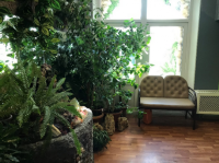 �����������