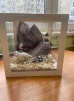 �����������