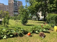 �����������