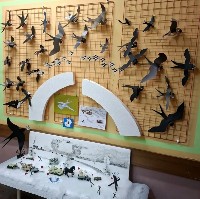 �����������